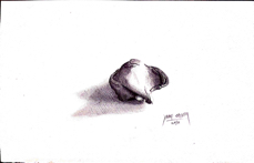 Goma de Borrar 3 - jaume orejuela.jpg